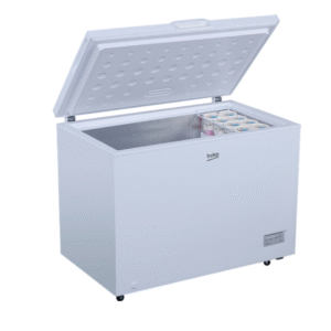 FRIZ BEKO CF316EWN